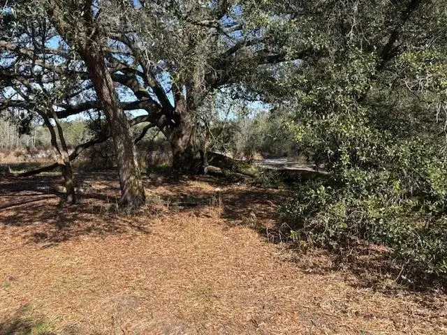 Land/Boat Docks for sale at 0 County Rd 54, FL 33849