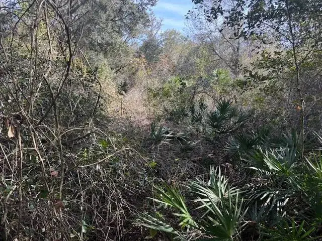 Land/Boat Docks for sale at 0 County Rd 54, FL 33849