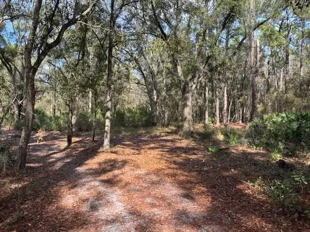 Land/Boat Docks for sale at 0 County Rd 54, FL 33849