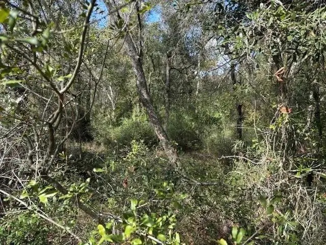 Land/Boat Docks for sale at 0 County Rd 54, FL 33849