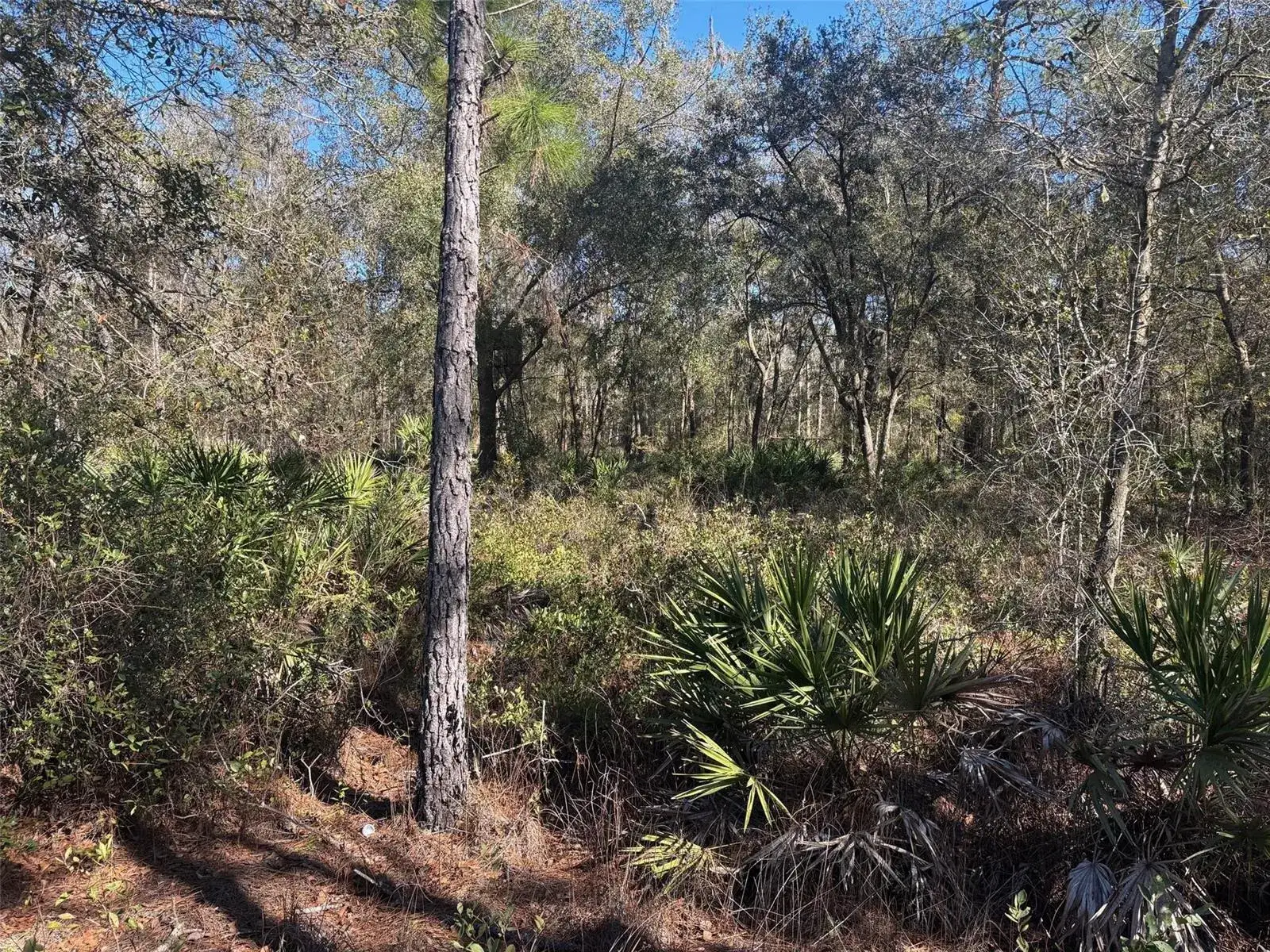Land/Boat Docks for sale at 0 County Rd 54, FL 33849