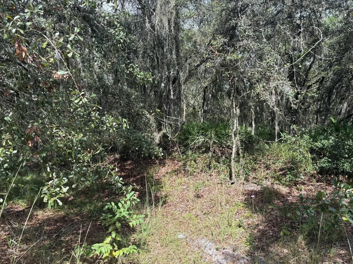 Land/Boat Docks for sale at 0 County Rd 54, FL 33849