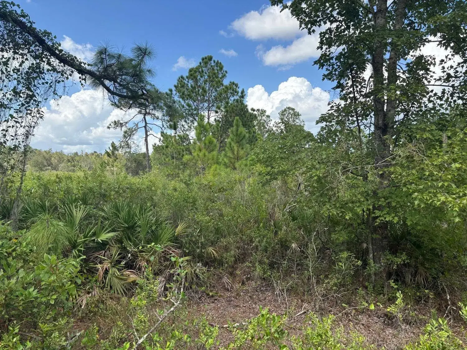Land/Boat Docks for sale at 0 County Rd 54, FL 33849