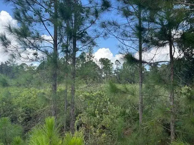 Land/Boat Docks for sale at 0 County Rd 54, FL 33849