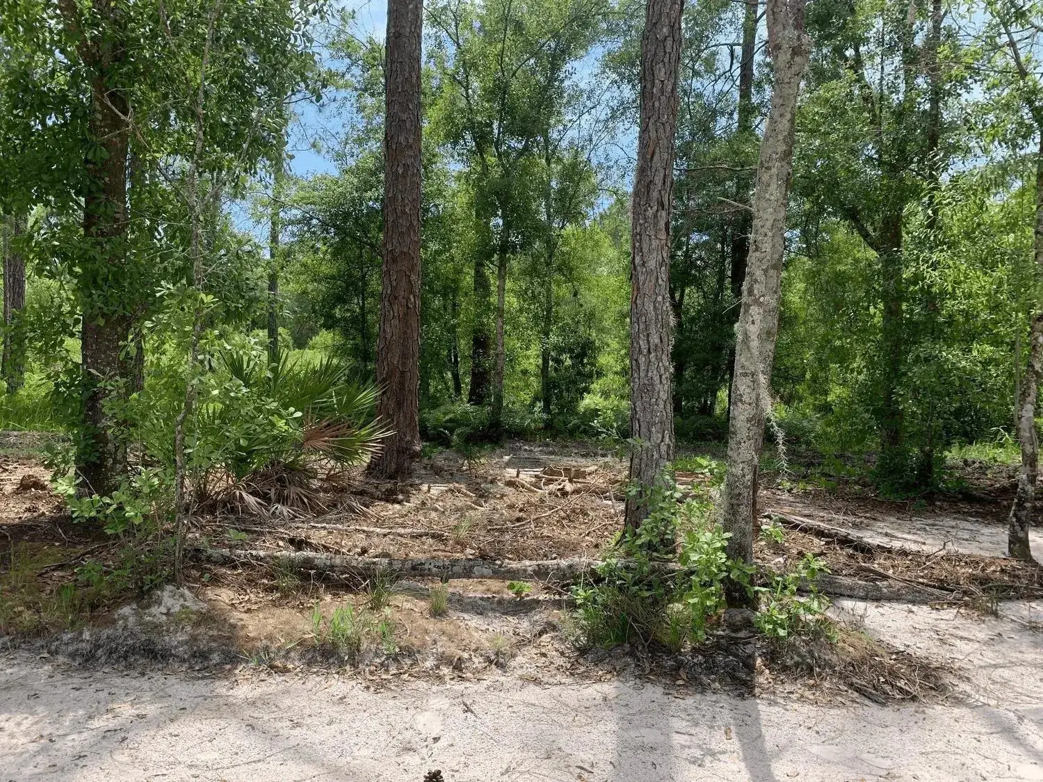 Land/Boat Docks for sale at 0 County Rd 54, FL 33849
