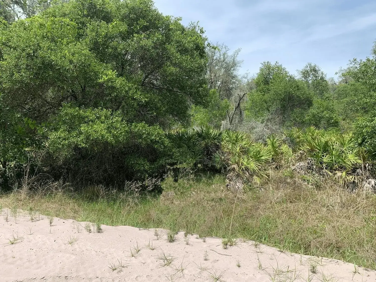 Land/Boat Docks for sale at 0 County Rd 54, FL 33849