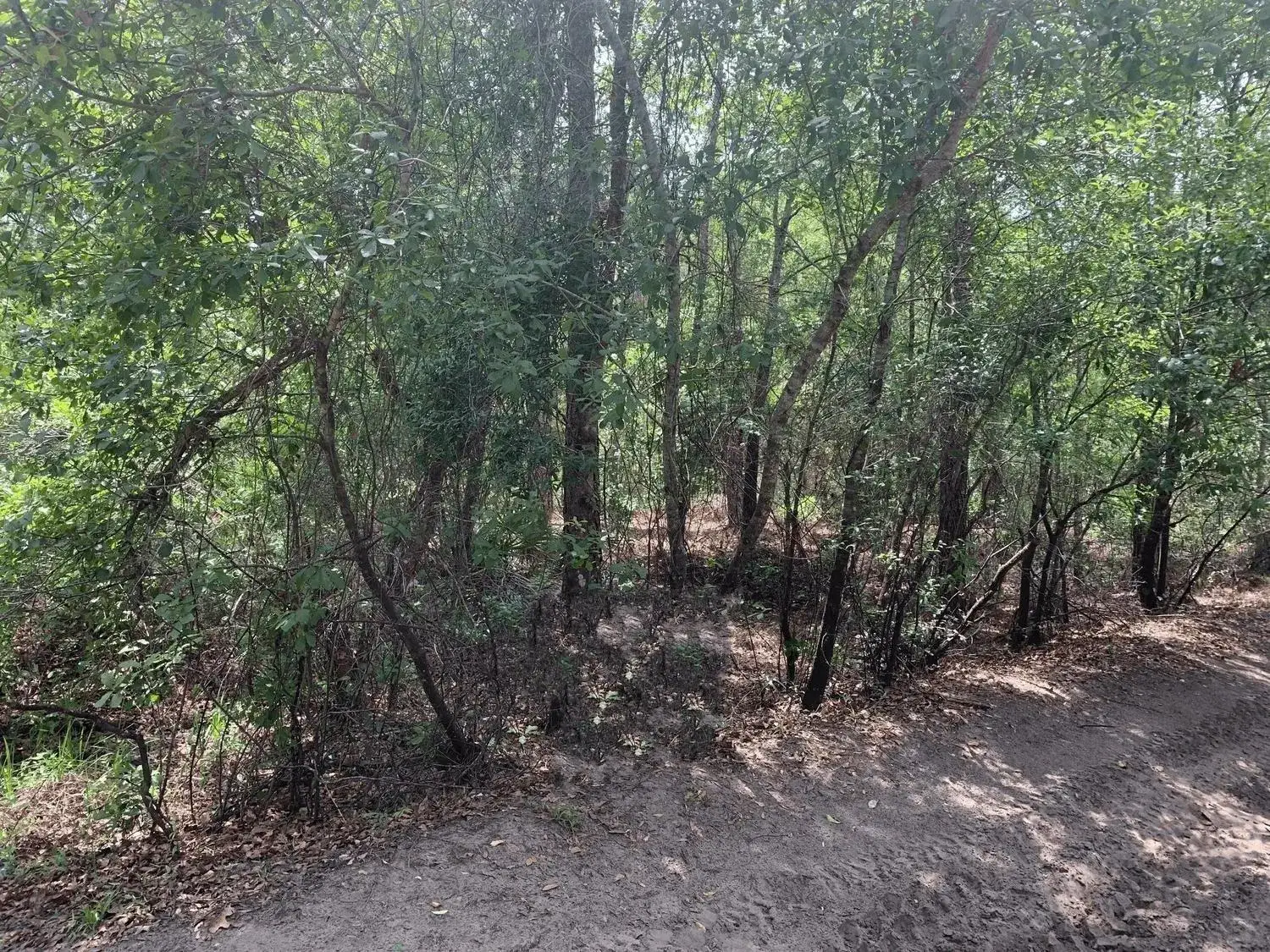 Land/Boat Docks for sale at 0 County Rd 54, FL 33849