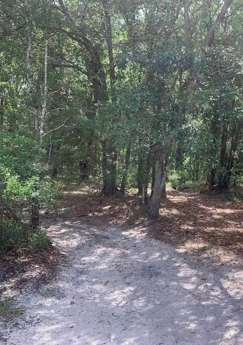 Land/Boat Docks for sale at 0 County Rd 54, FL 33849