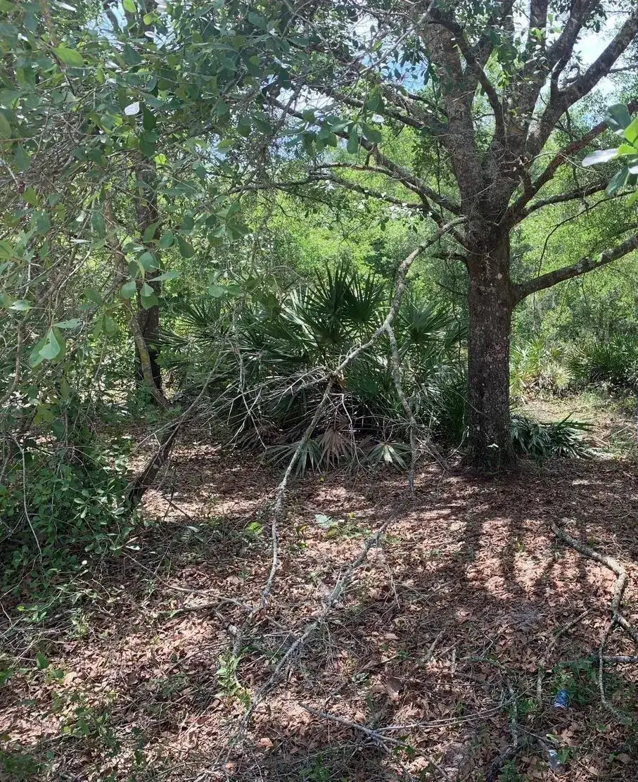 Land/Boat Docks for sale at 0 County Rd 54, FL 33849