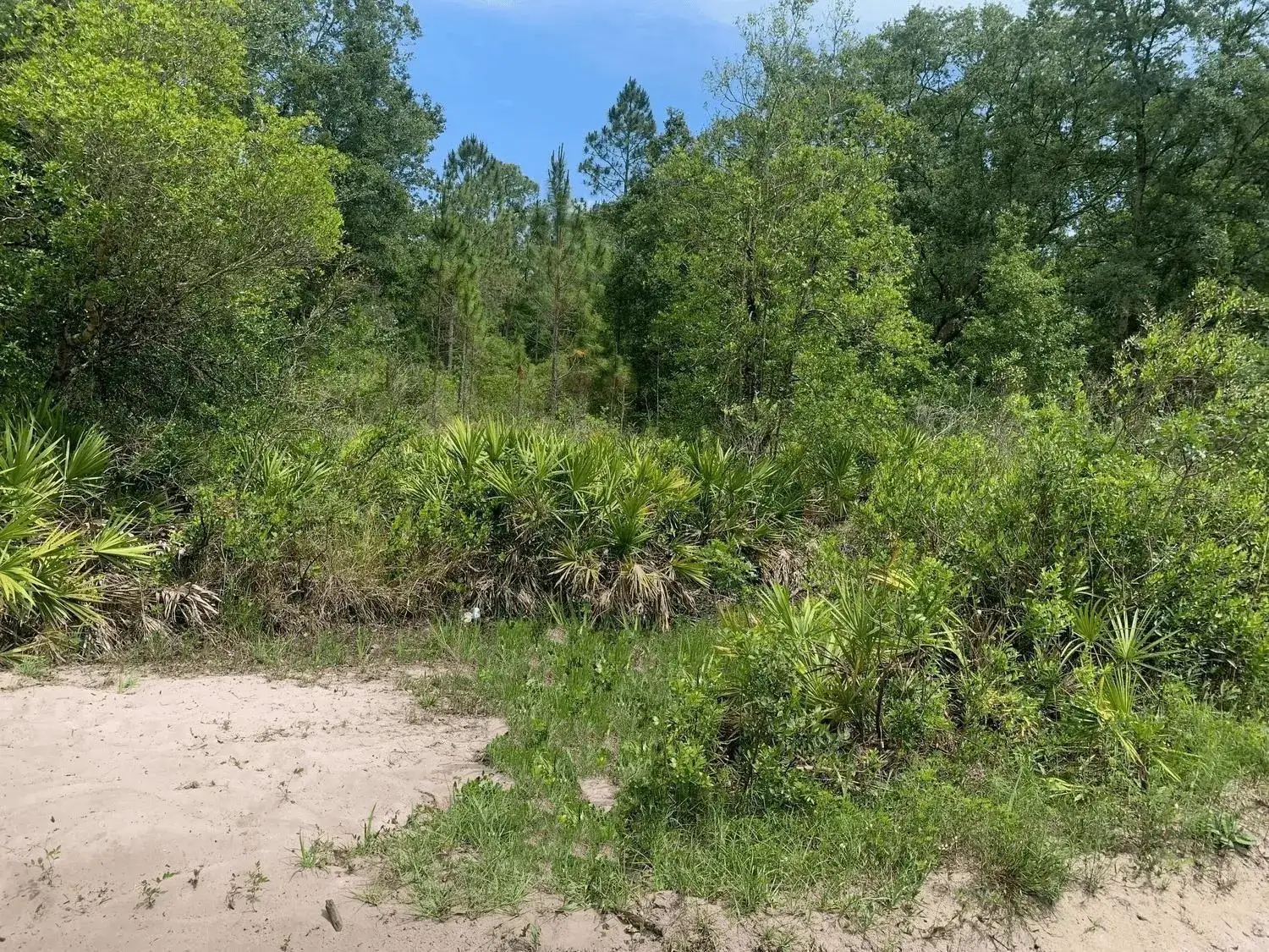 Land/Boat Docks for sale at 0 County Rd 54, FL 33849