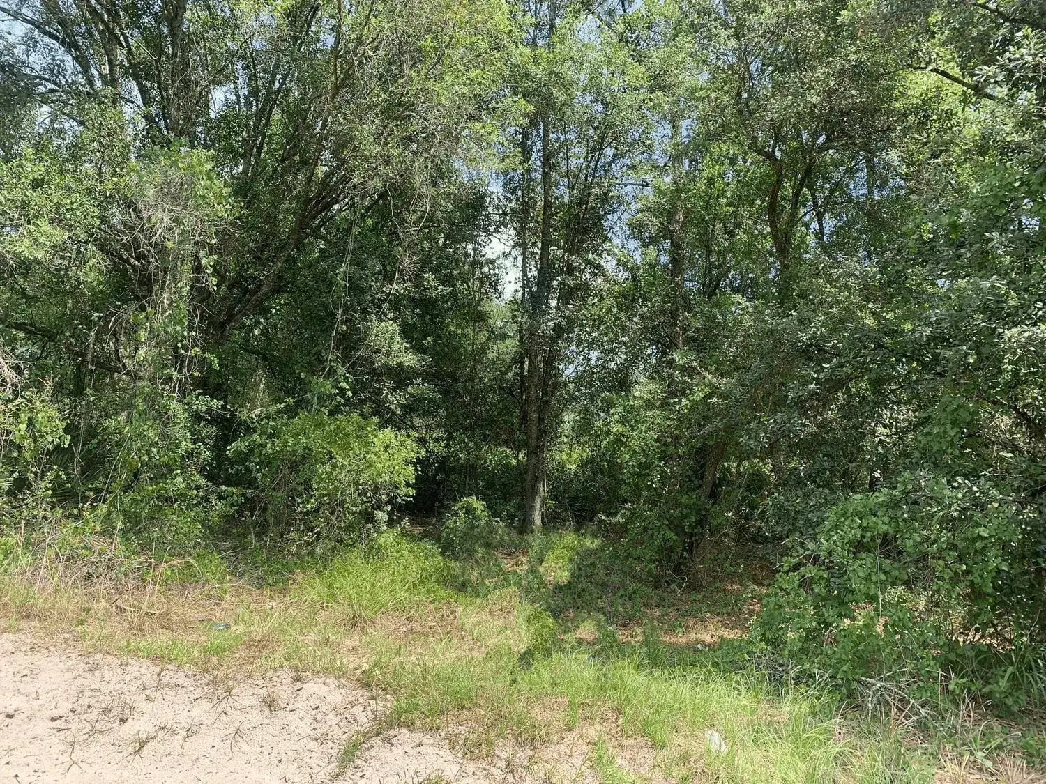 Land/Boat Docks for sale at 0 County Rd 54, FL 33849