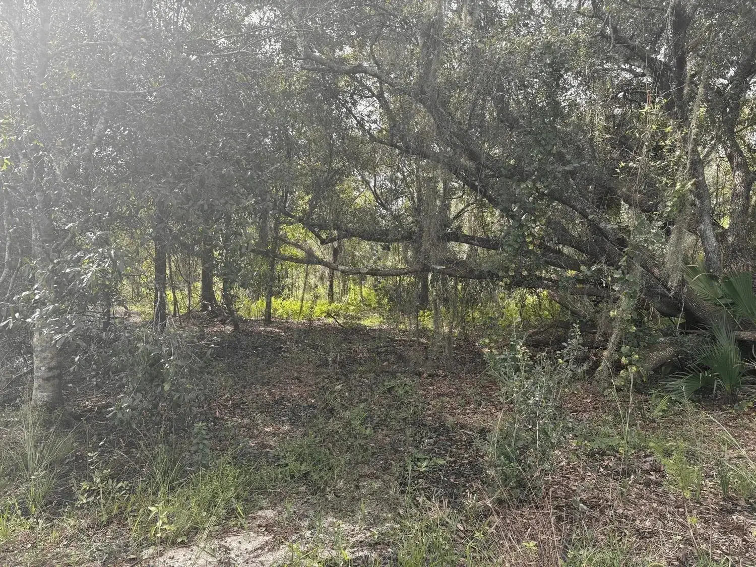 Land/Boat Docks for sale at 0 NW 304th Street, Okeechobee FL 34972