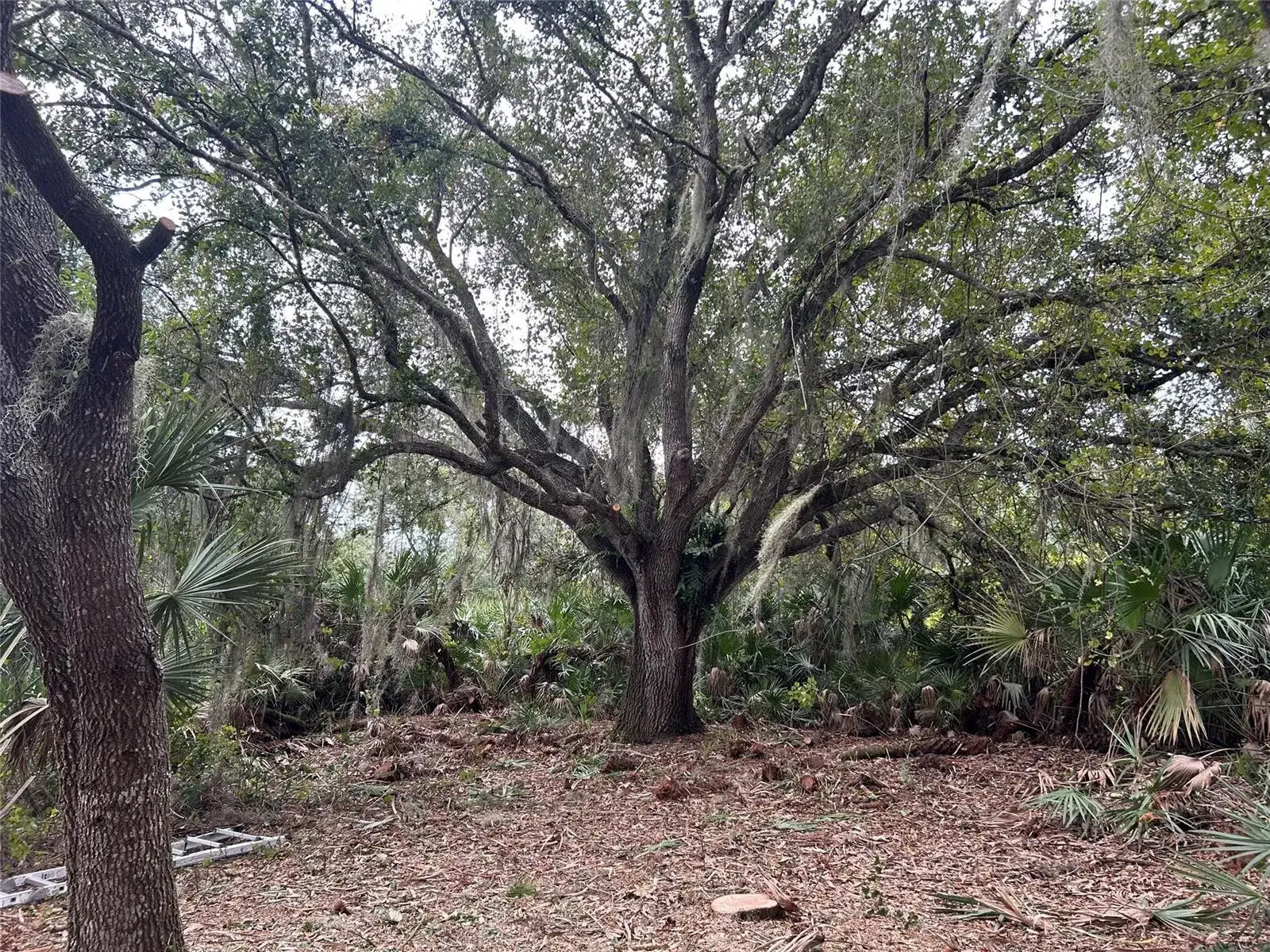 Land/Boat Docks for sale at 0 298th Street, Okeechobee FL 34972
