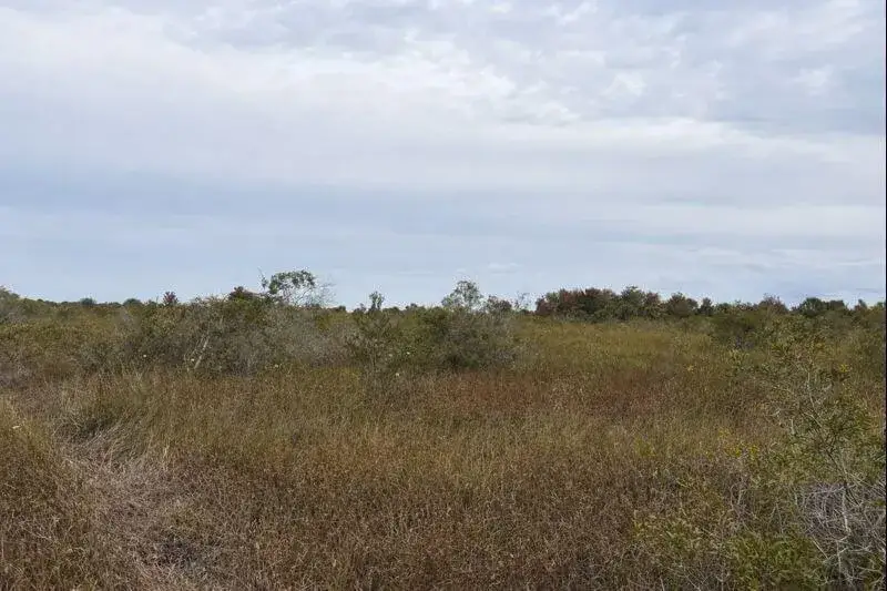 Land/Boat Docks for sale at 0 NW 310th Street, Okeechobee FL 34972