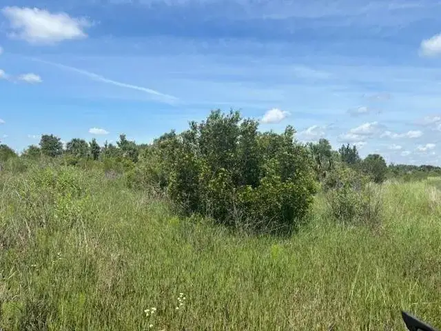 Land/Boat Docks for sale at 0 NW 310th Street, Okeechobee FL 34972