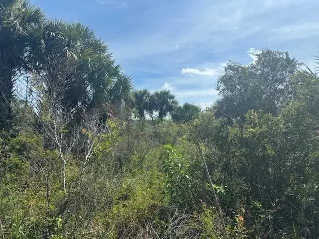 Land/Boat Docks for sale at 0 NW 310th Street, Okeechobee FL 34972