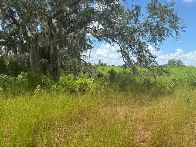 Land/Boat Docks for sale at 0 NW 316th Street, Okeechobee FL 34972