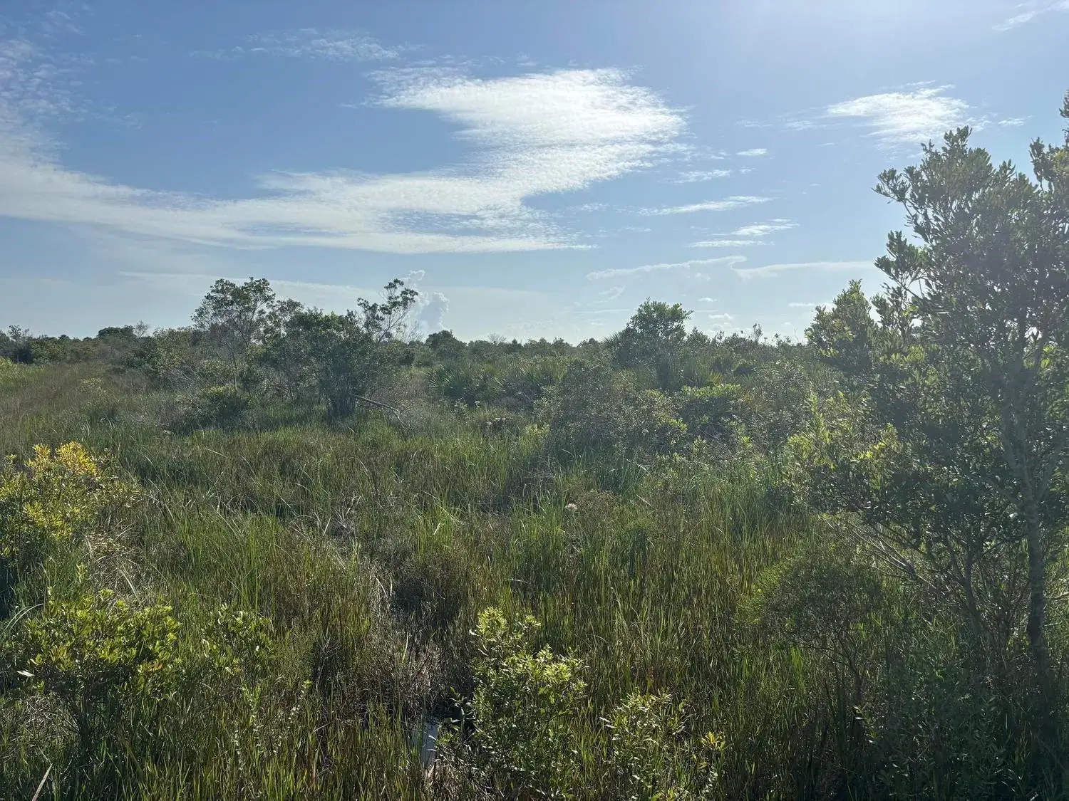 Land/Boat Docks for sale at 0 NW 318th Street, Okeechobee FL 34972