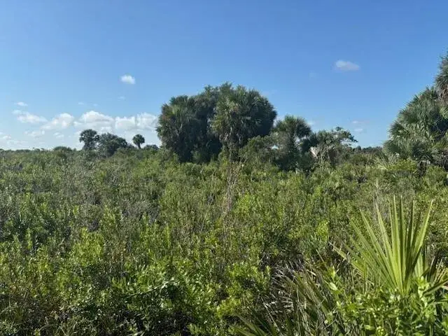 Land/Boat Docks for sale at 0 NW 316th Street, Okeechobee FL 34972