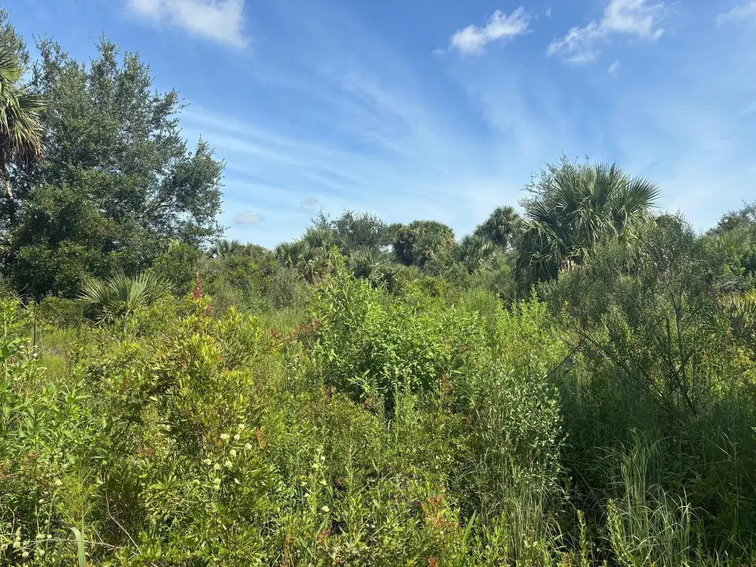 Land/Boat Docks for sale at 0 NW 312th Street, Okeechobee FL 34972