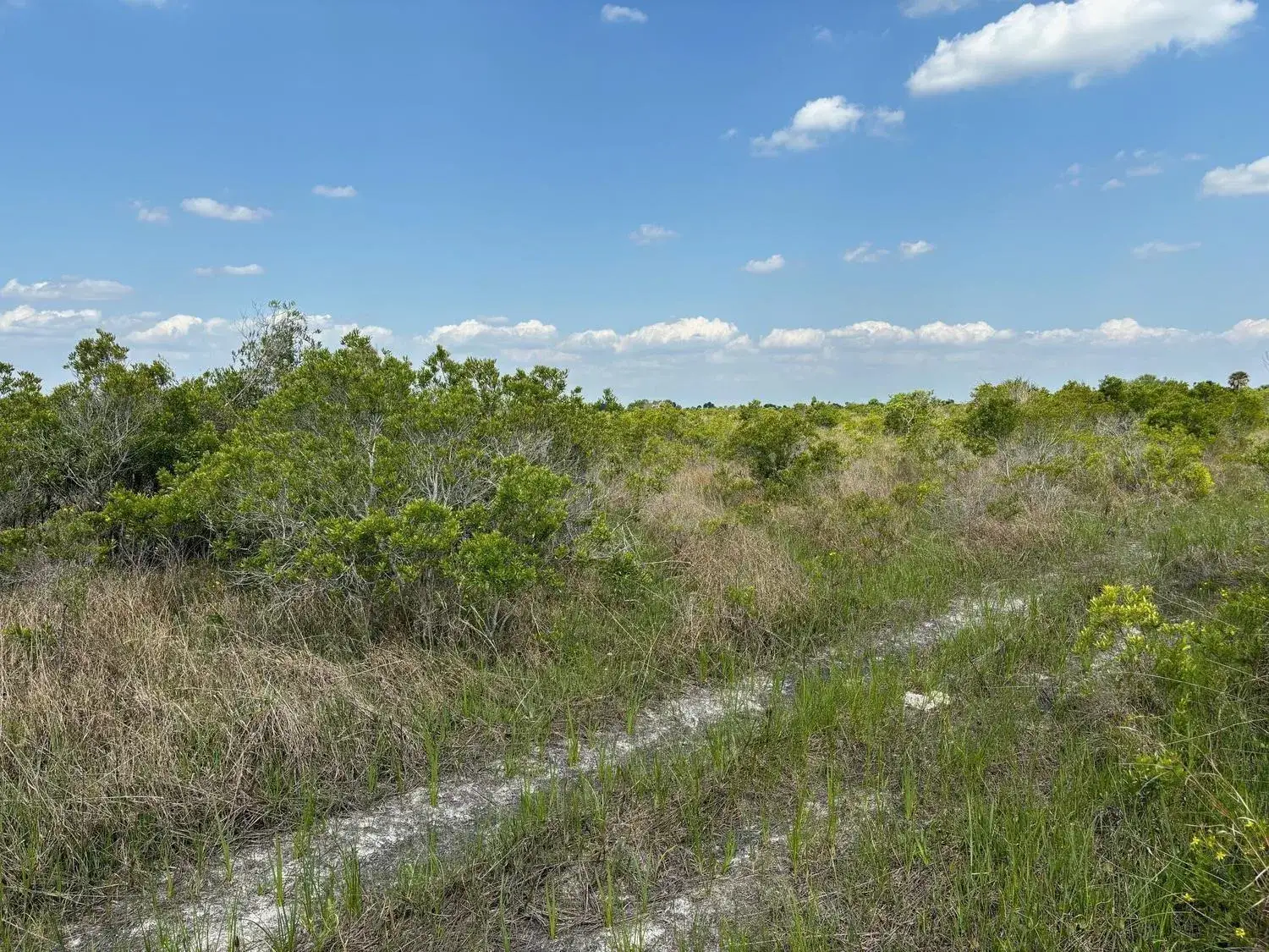 Land/Boat Docks for sale at 0 NW 318th Street, Okeechobee FL 34972