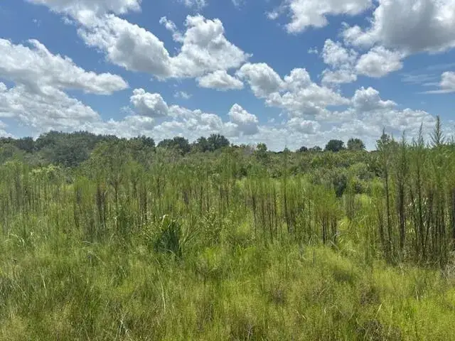 Land/Boat Docks for sale at 0 NW 314th Street, Okeechobee FL 34972