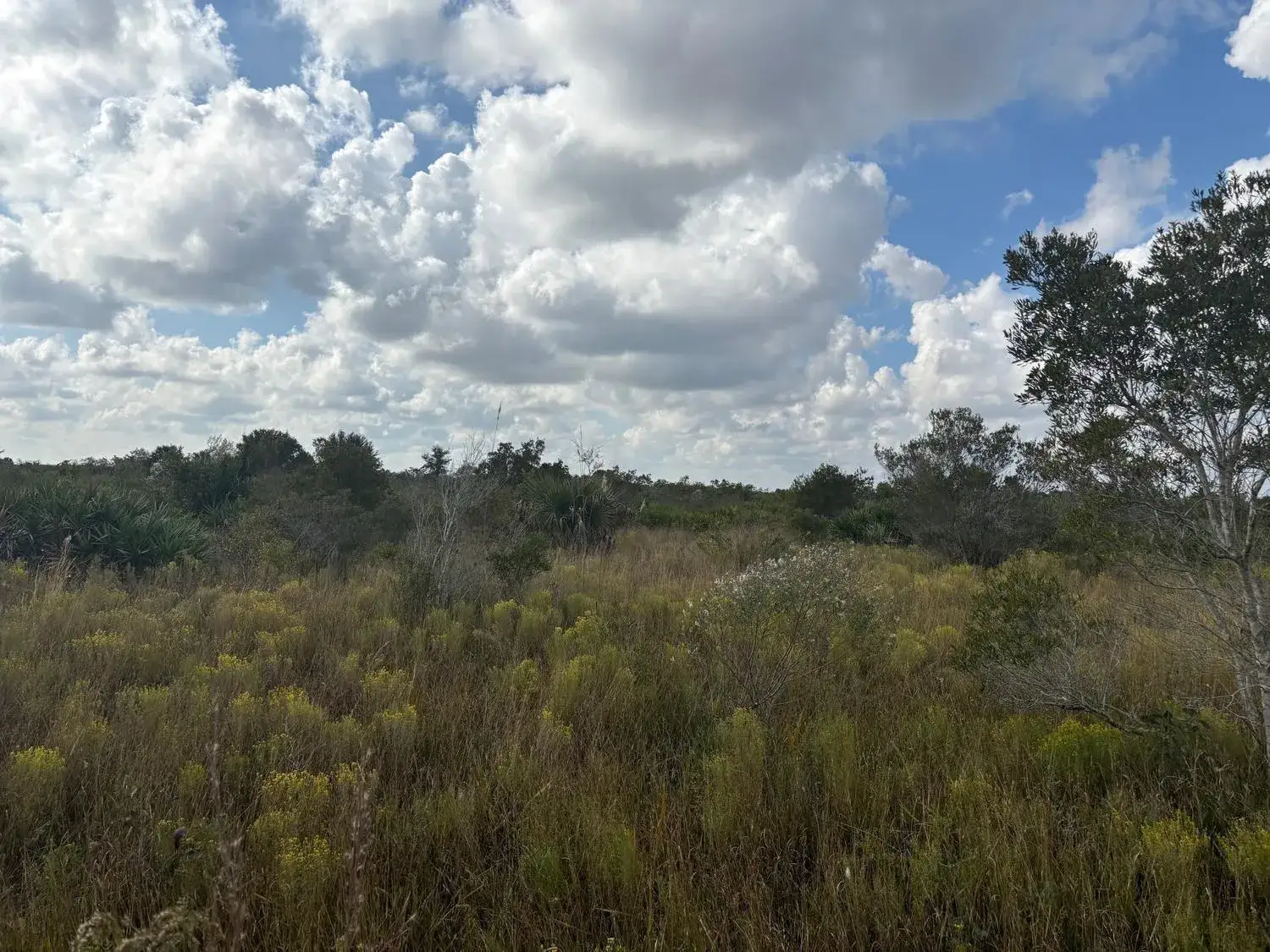 Land/Boat Docks for sale at 0 NW 314th Street, Okeechobee FL 34972