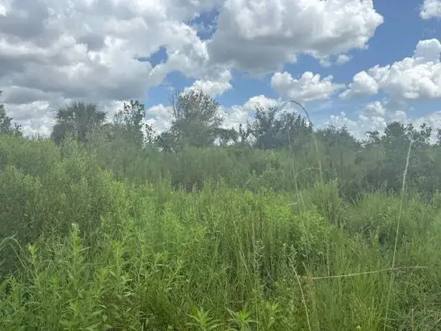 Land/Boat Docks for sale at 0 312th Street, Okeechobee FL 34972