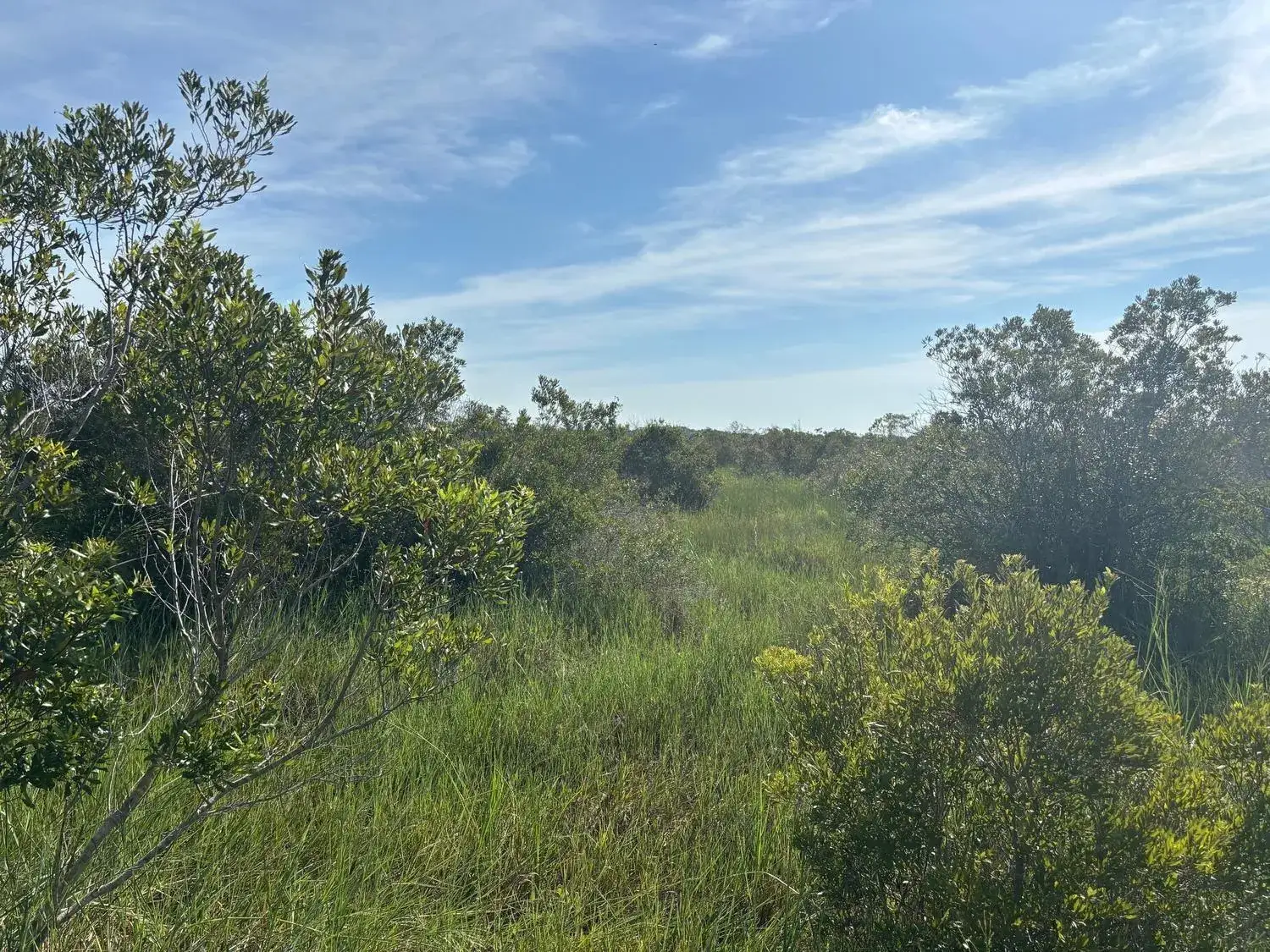Land/Boat Docks for sale at 0 NW 308th Street, Okeechobee FL 34972
