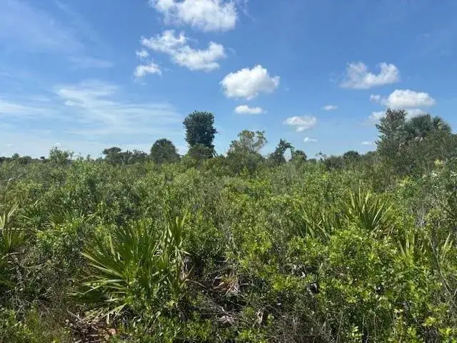 Land/Boat Docks for sale at 0 NW 310th Street, Okeechobee FL 34972
