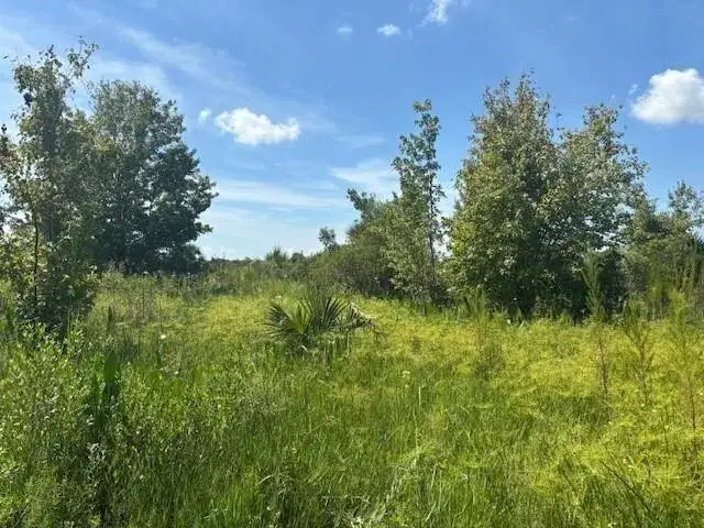 Land/Boat Docks for sale at 0 NW 310th Street, Okeechobee FL 34972