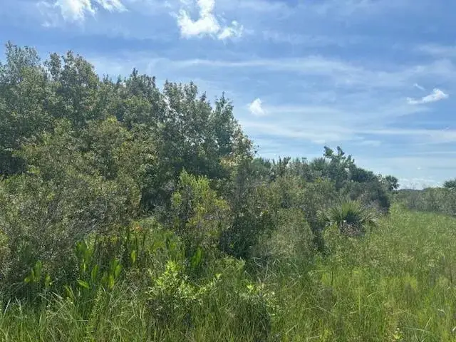 Land/Boat Docks for sale at 0 NW 310th Street, Okeechobee FL 34972