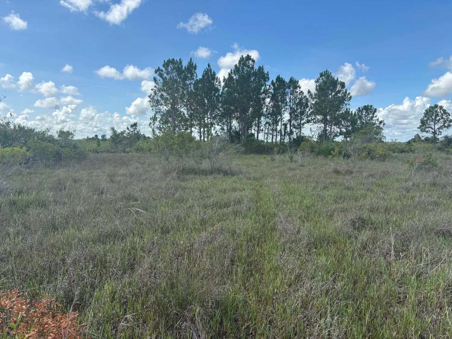 Land/Boat Docks for sale at 0 290th Street, Okeechobee FL 34972