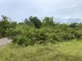 Land/Boat Docks for sale at 0 US Hwy 27, Lake Wales FL 33859