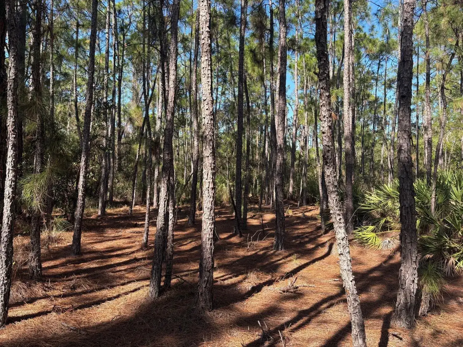 Land/Boat Docks for sale at 0 Fourth Avenue, FL 34771