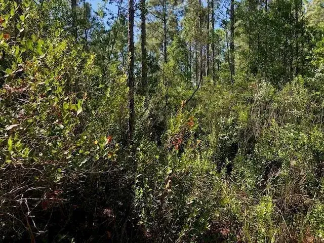 Land/Boat Docks for sale at 0 Old Grade Road, FL 33868
