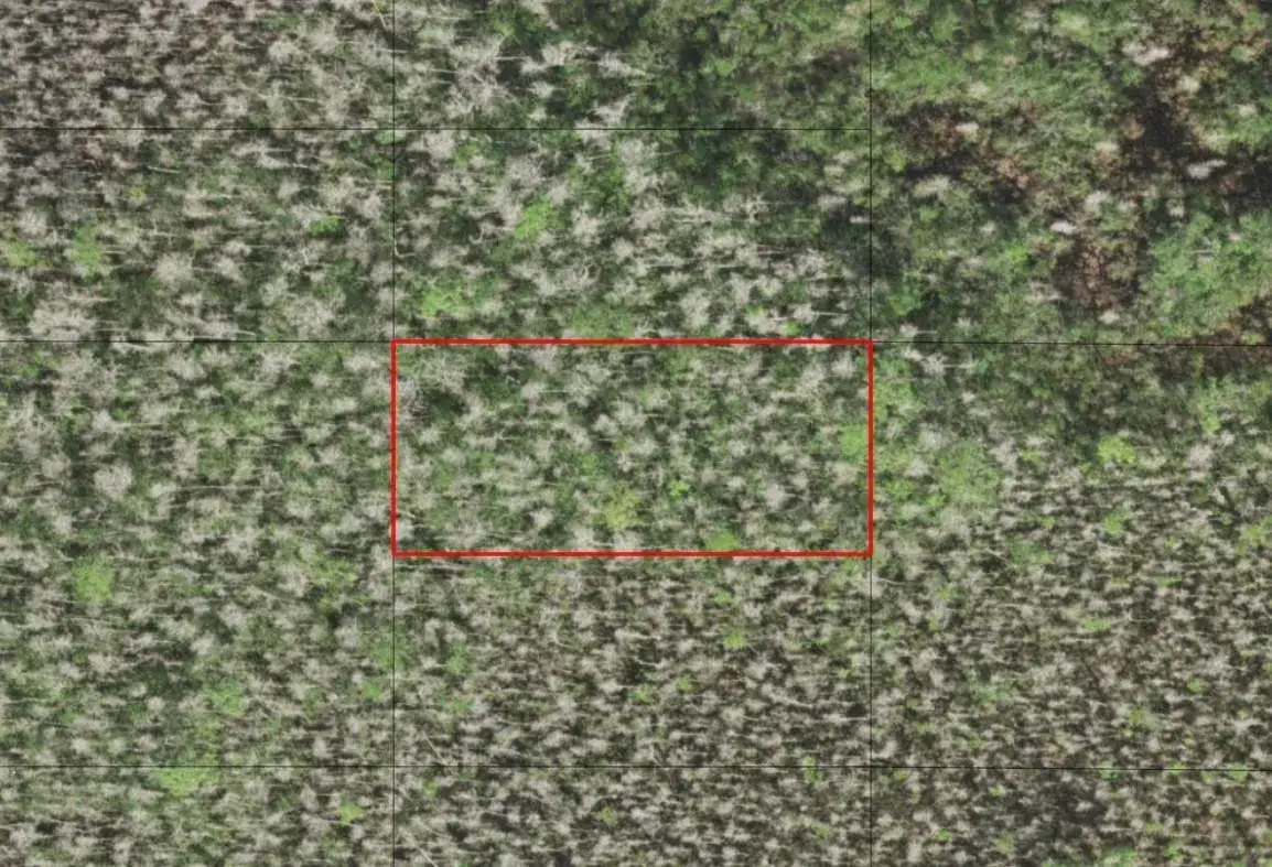Land/Boat Docks for sale at 0 Holopaw Groves Road, FL 34772