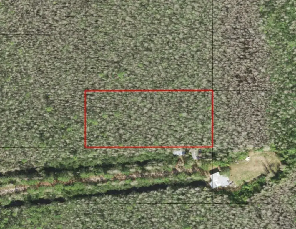 Land/Boat Docks for sale at 0 Holopaw Groves Road, FL 34772