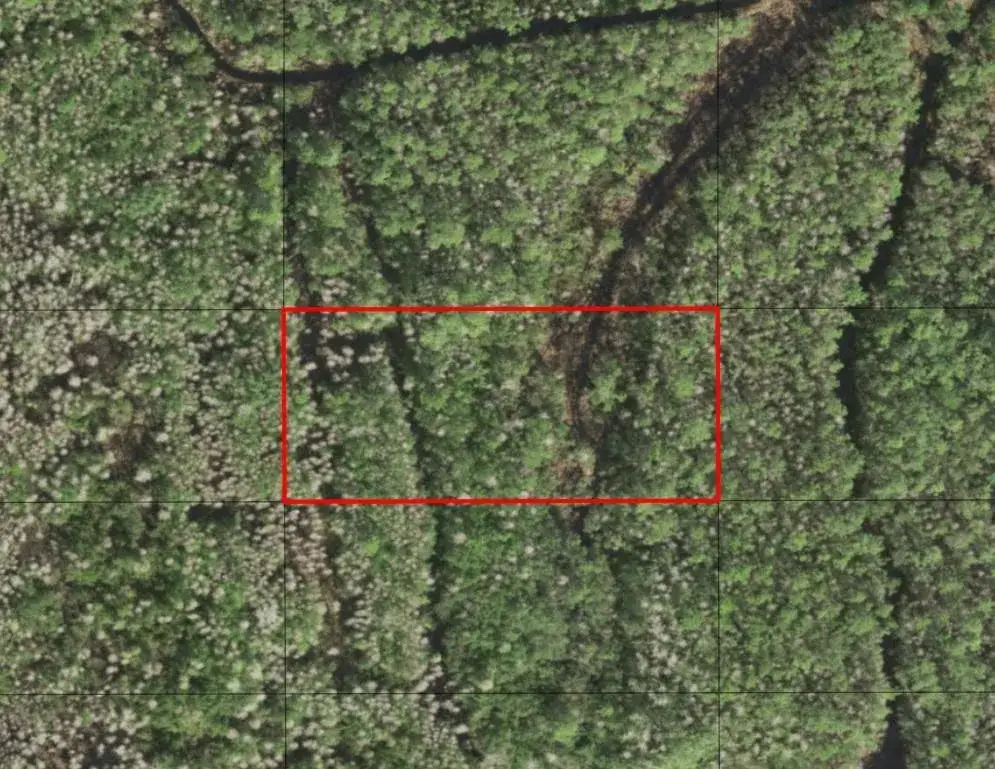 Land/Boat Docks for sale at 0 Holopaw Groves Road, FL 34772
