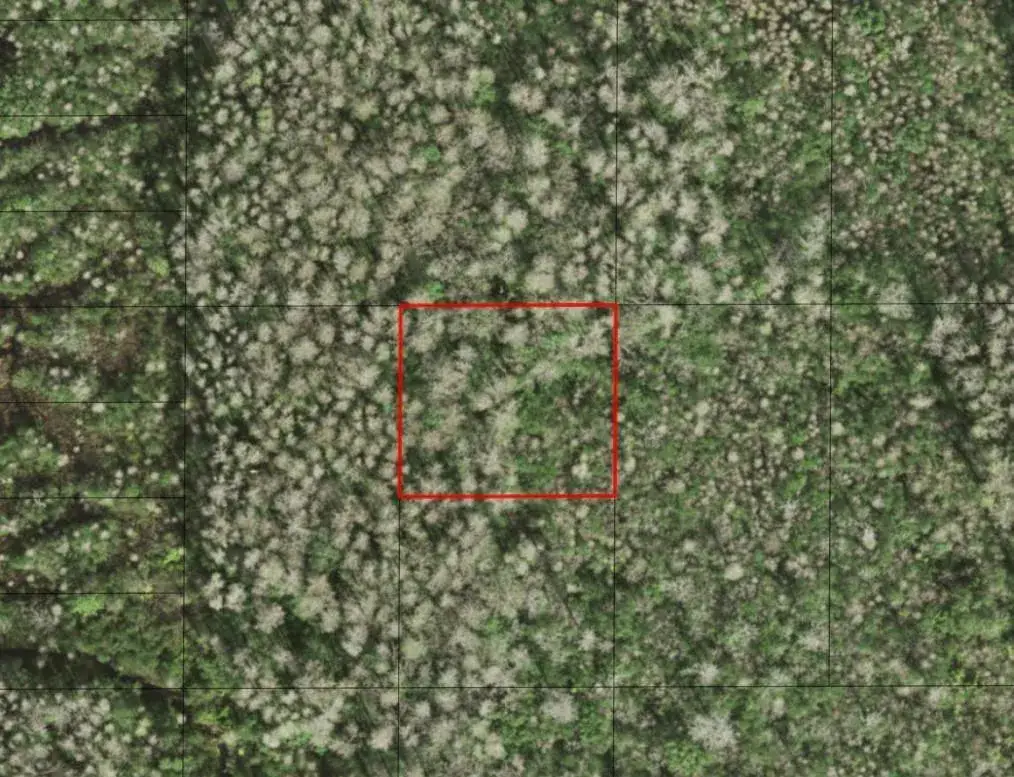 Land/Boat Docks for sale at 0 Holopaw Groves Road, FL 34772