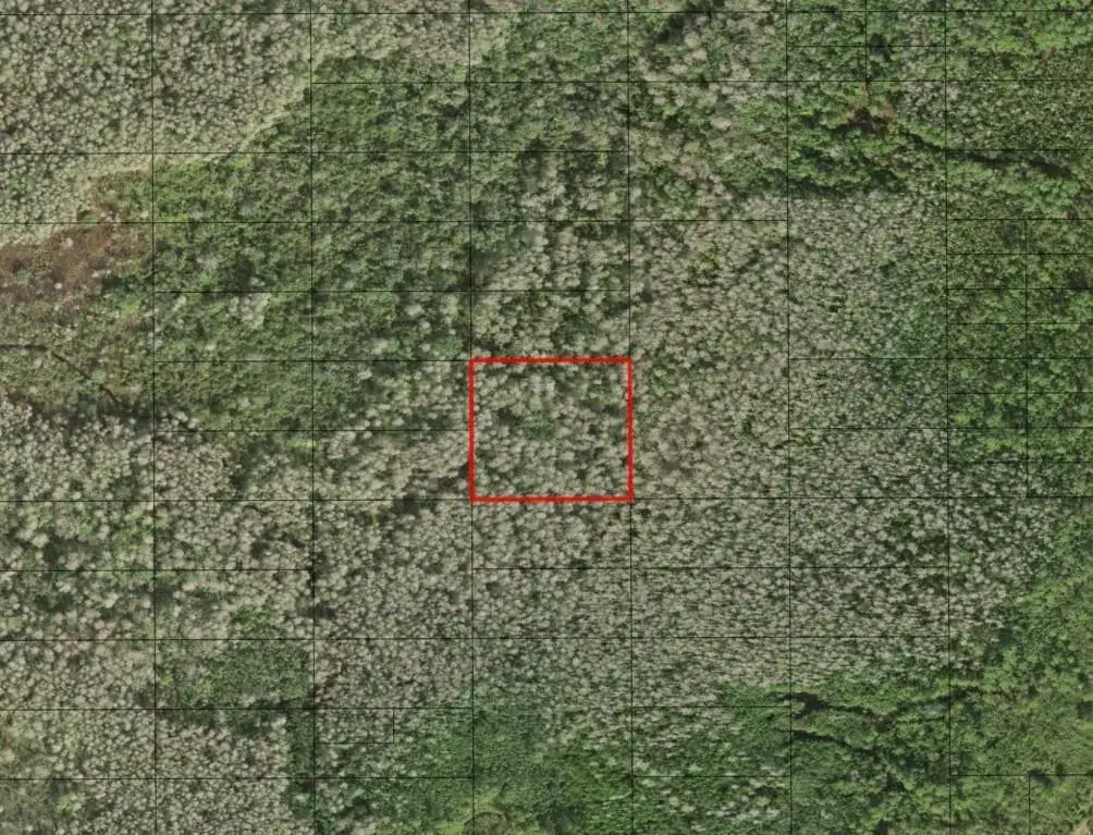 Land/Boat Docks for sale at 0 Holopaw Groves Road, FL 34772