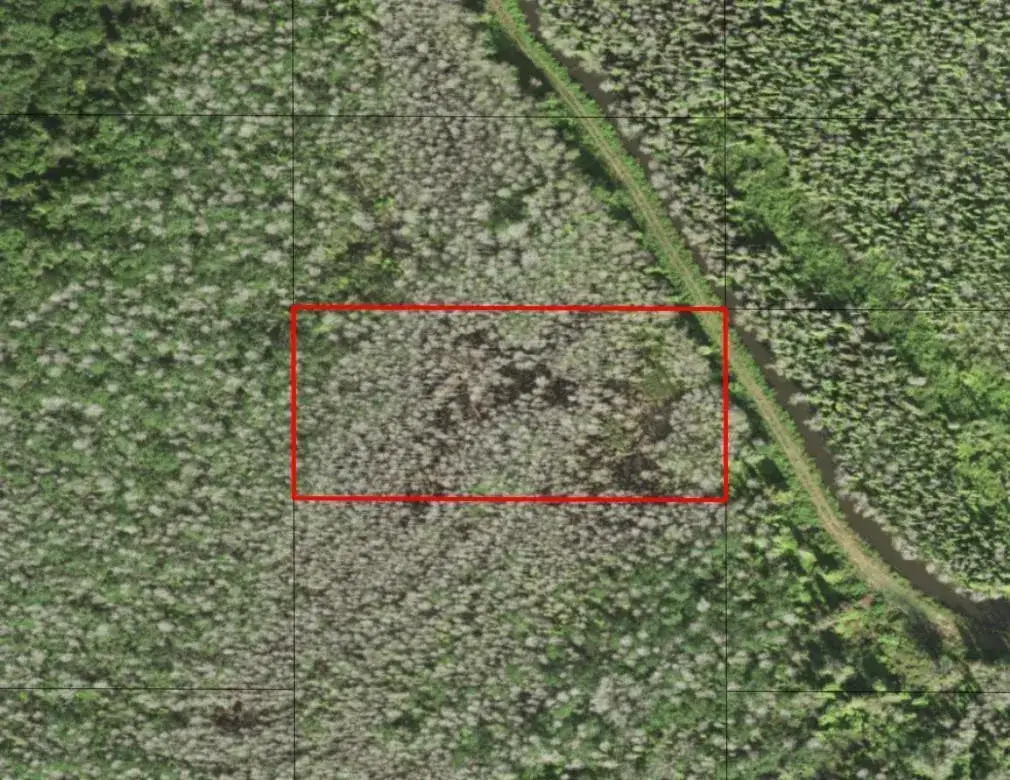 Land/Boat Docks for sale at 0 Holopaw Groves Road, FL 34772