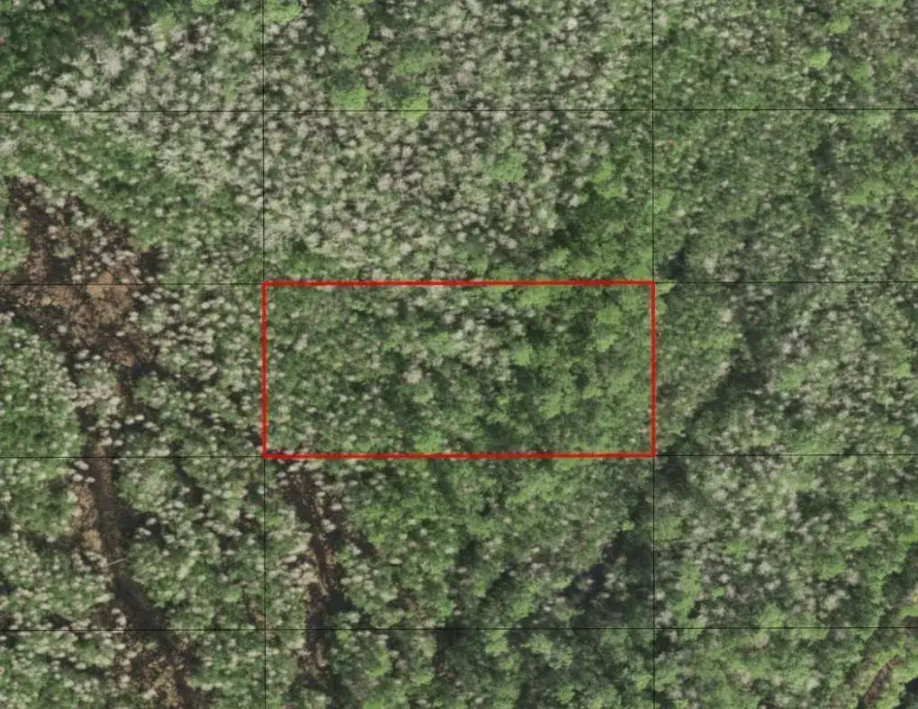 Land/Boat Docks for sale at 0 Holopaw Groves Road, FL 34772