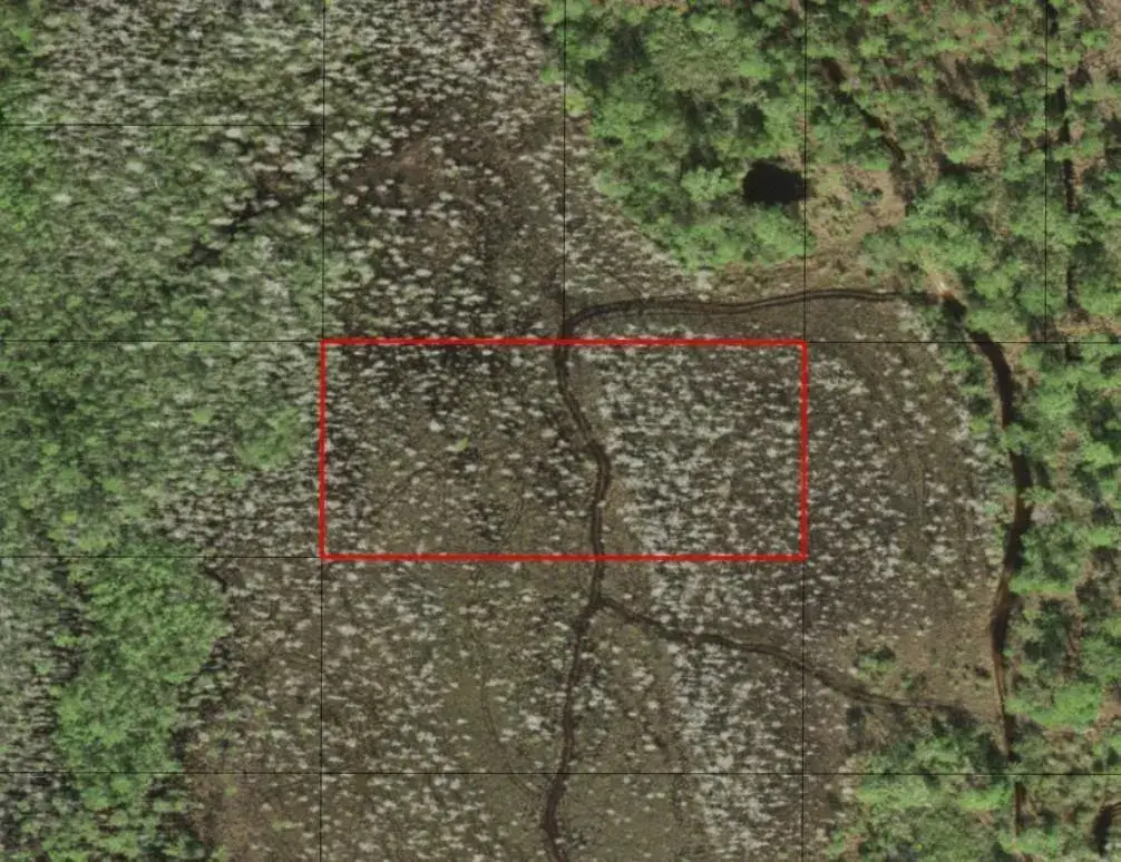Land/Boat Docks for sale at 0 Holopaw Groves Road, FL 34772