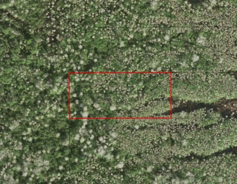 Land/Boat Docks for sale at 0 Holopaw Groves Road, FL 34772