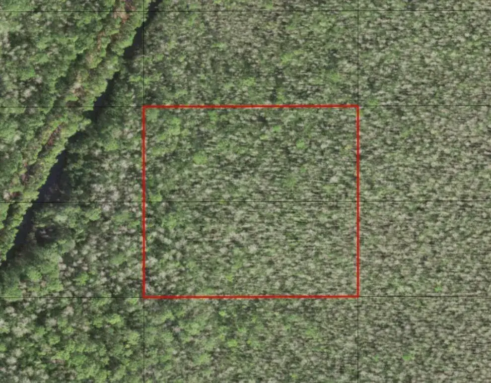 Land/Boat Docks for sale at 0 Holopaw Groves Road, FL 34772