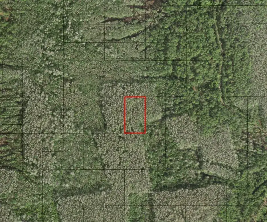 Land/Boat Docks for sale at 0 Holopaw Groves Road, FL 34772