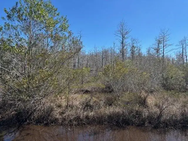 Land/Boat Docks for sale at 0 Holopaw Groves Road, FL 34772