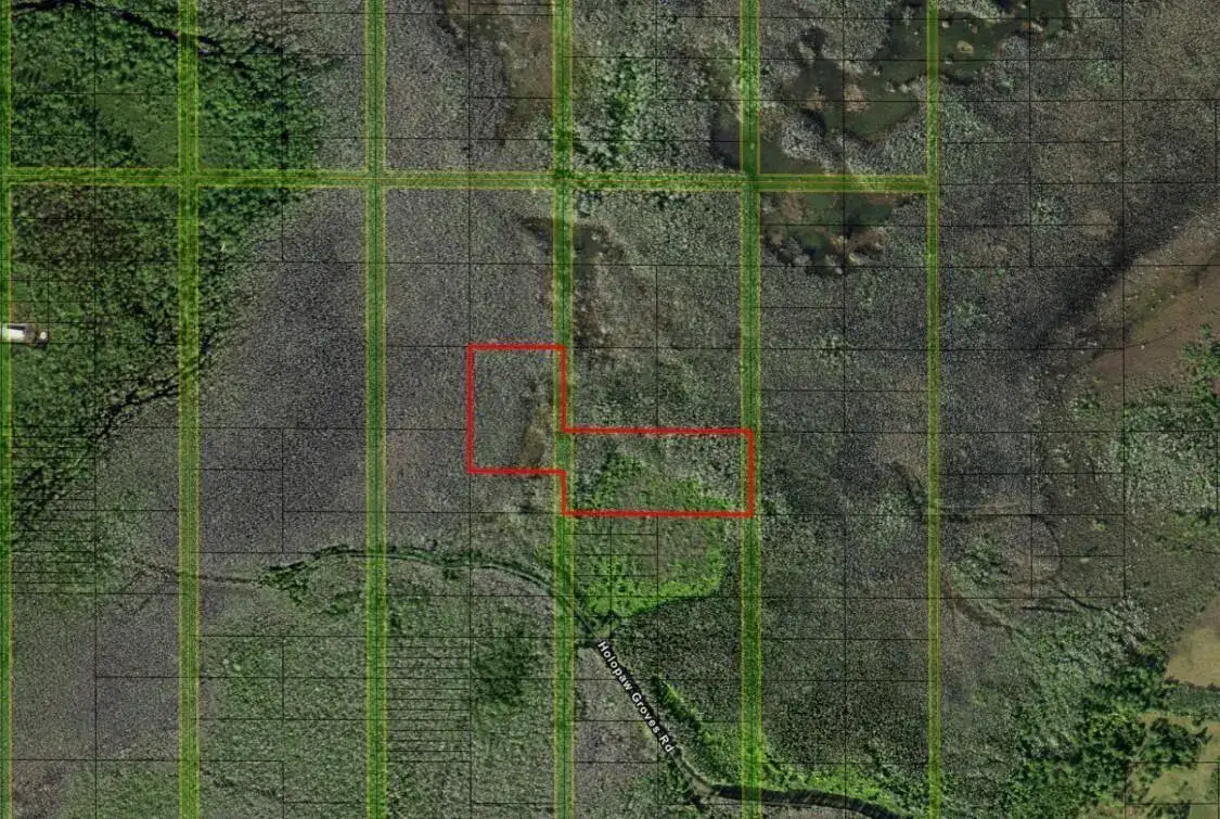 Land/Boat Docks for sale at 0 Holopaw Groves Road, FL 34772