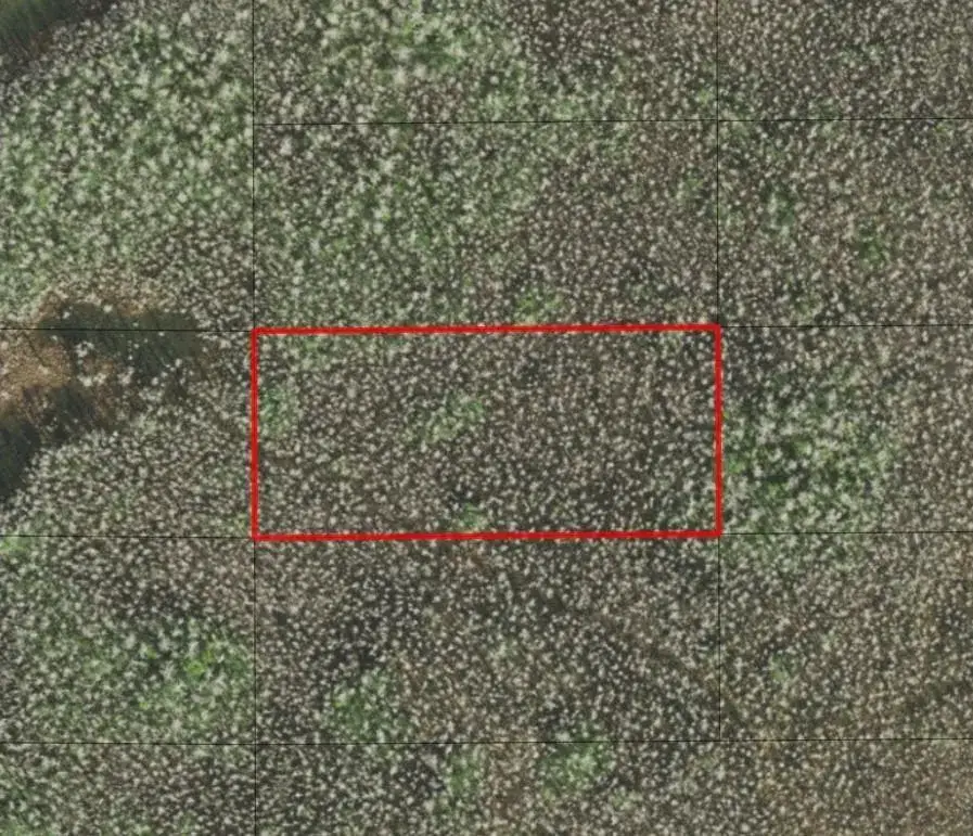 Land/Boat Docks for sale at 0 Holopaw Groves Road, FL 34772